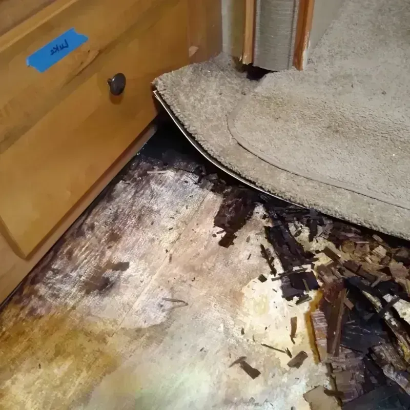 Wood Floor Water Damage in Greenfield, WI